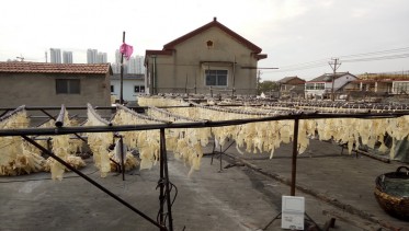 淮安豬皮食品豬皮烘干項目_CGF10/SN