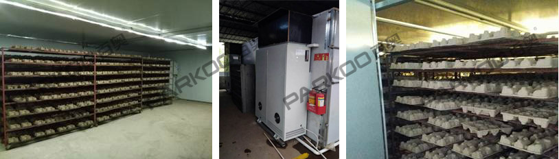 佛山市順德區(qū)利之源紙托烘干項(xiàng)目